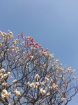 20150403090738938.jpg